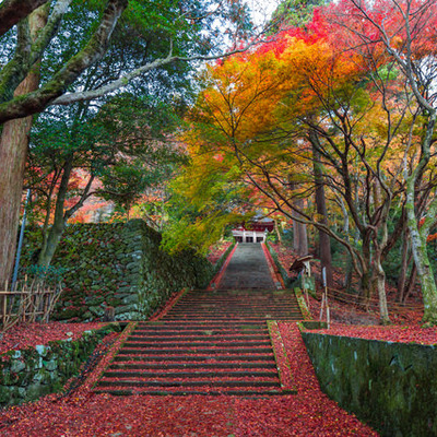 400x400 pixta 13097418 s