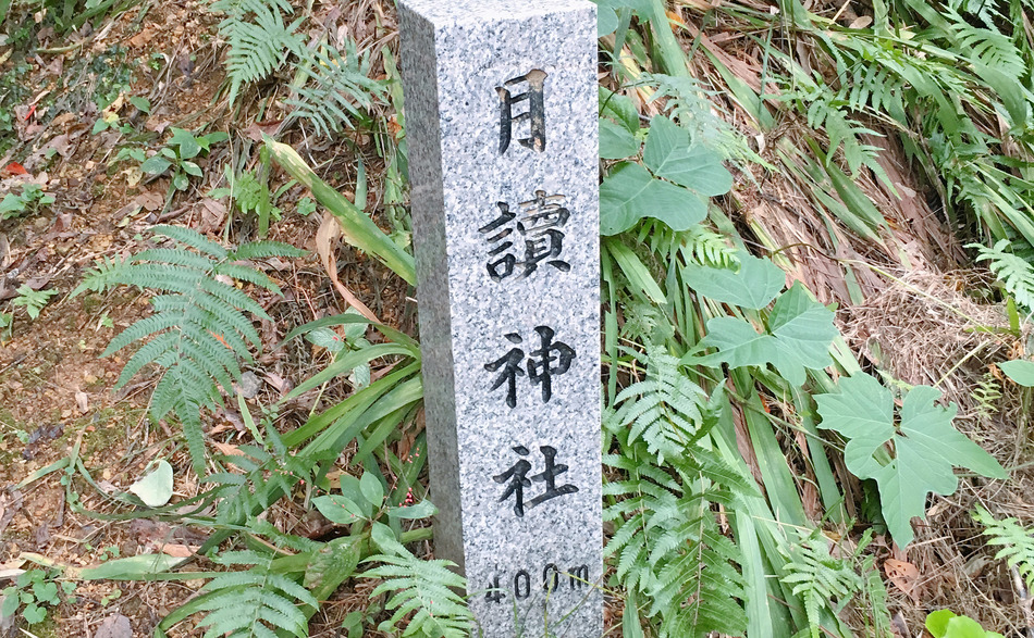 950x587 atkym1