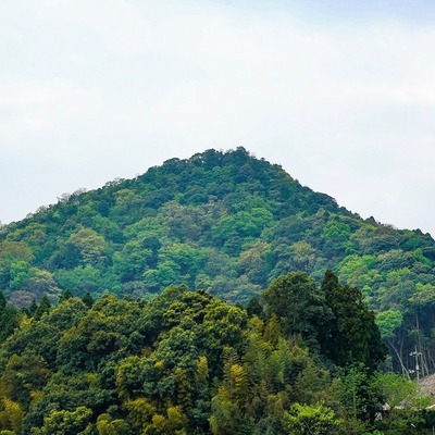 400x400 dsc02652 2