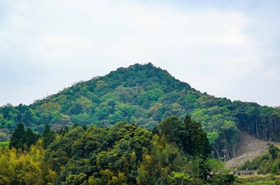 400x dsc02652 2