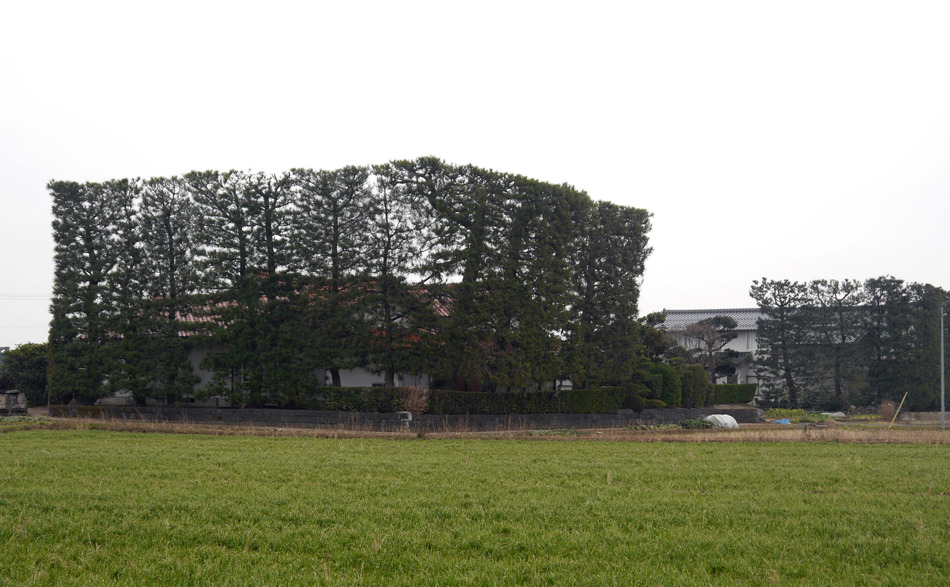 950x587 ijimatsu1