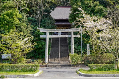 400x dsc03953