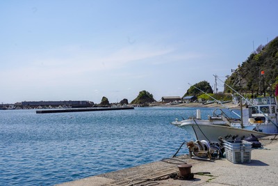 400x dsc03940
