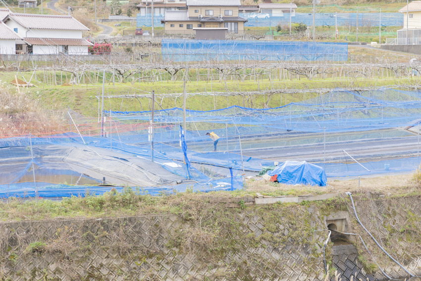 850x 287a9380