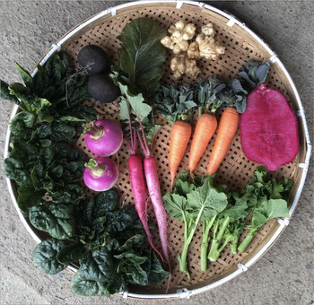 350x %e3%82%b9%e3%83%94%e3%83%a9%e3%83%95%e3%82%a1%e3%83%bc%e3%83%a0