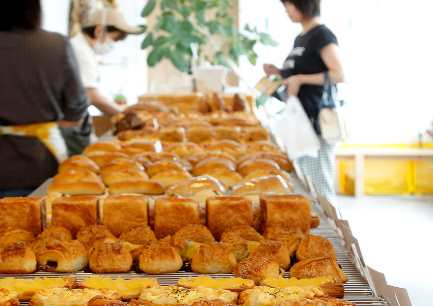 850x %e3%83%91%e3%83%b3