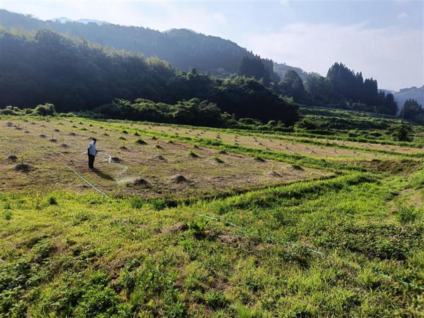 850x %e5%86%99%e7%9c%9f%e2%91%a0