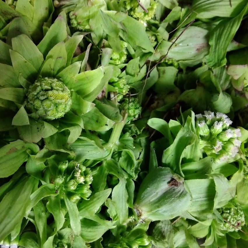 850x 643560836 17877975171489971 1270892586285126676 n.heic