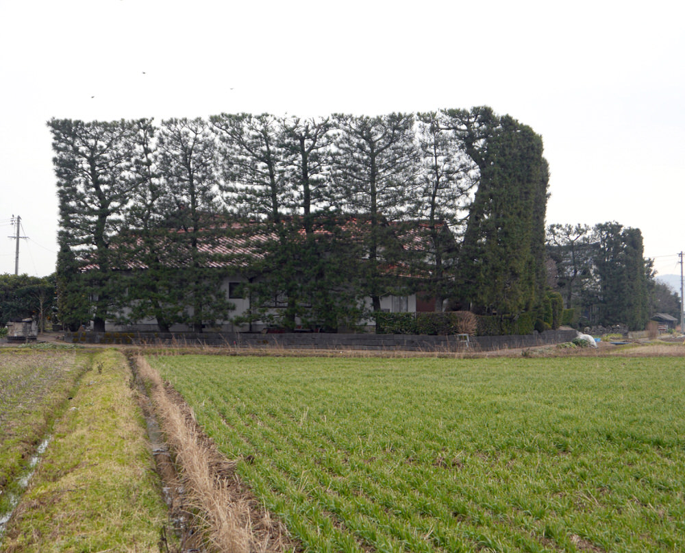 ijimatsu3.jpg